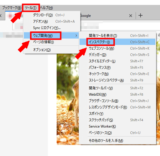 FC2ブログのCSSが反映されないときの対処方法3 (6)